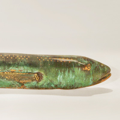 Eel Bronze