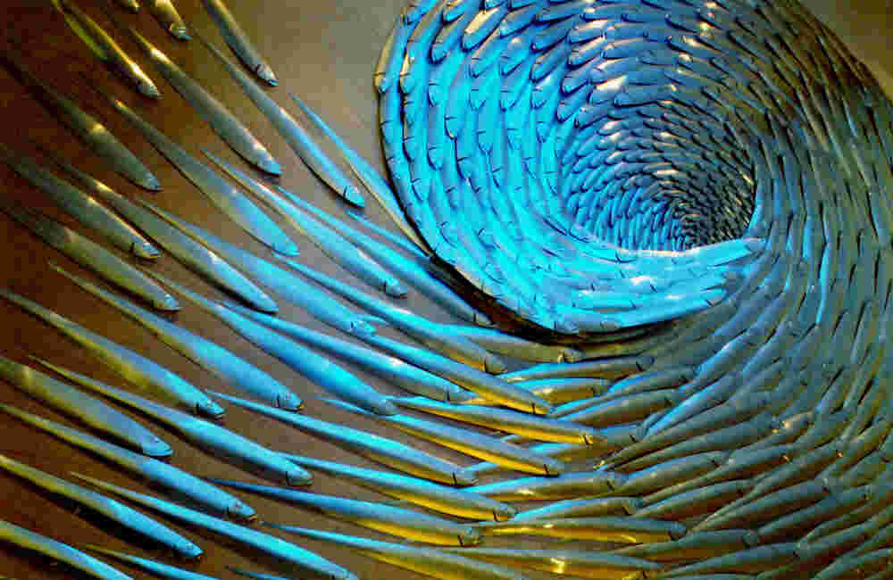 Vortex Emigration (Athens, Greece) Swirling fish wall installation