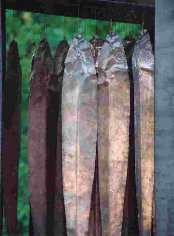 Hanging metallic fish installation