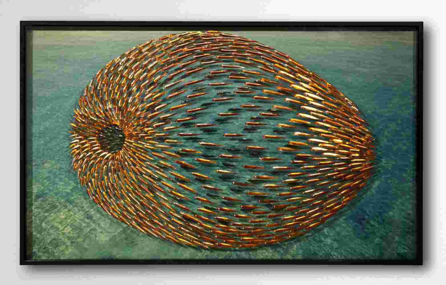 Three-dimensional wall sculpture, school of fish theme, with layers of plexiglass, aluminum frame and spherical copper fish.