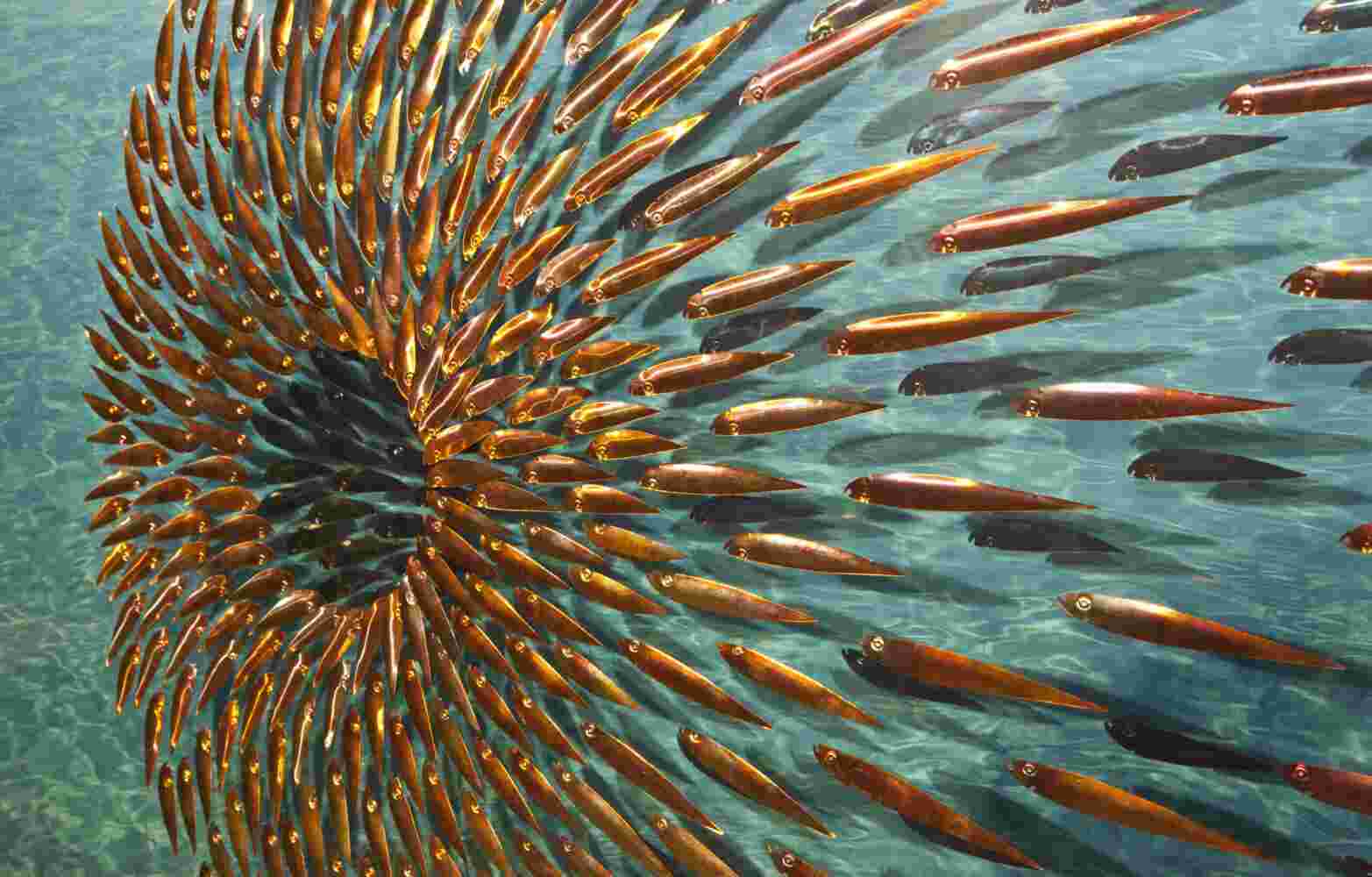 Three-dimensional wall sculpture, school of fish theme, with layers of plexiglass, aluminum frame and spherical copper fish.