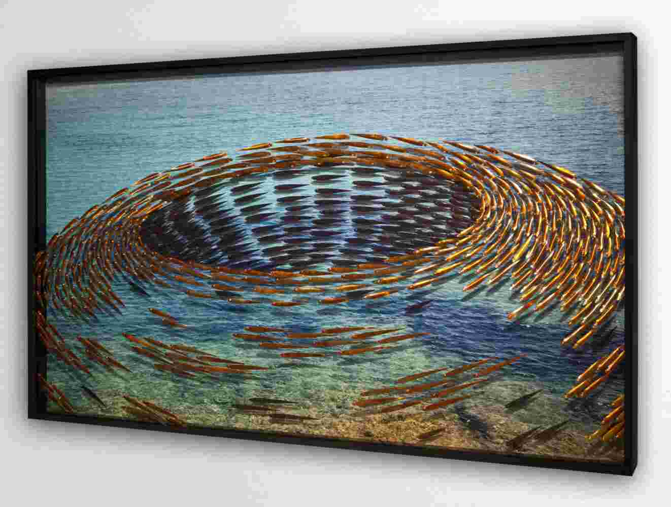 Three-dimensional wall sculpture, school of fish theme, with layers of plexiglass, aluminum frame and swirling copper fish.