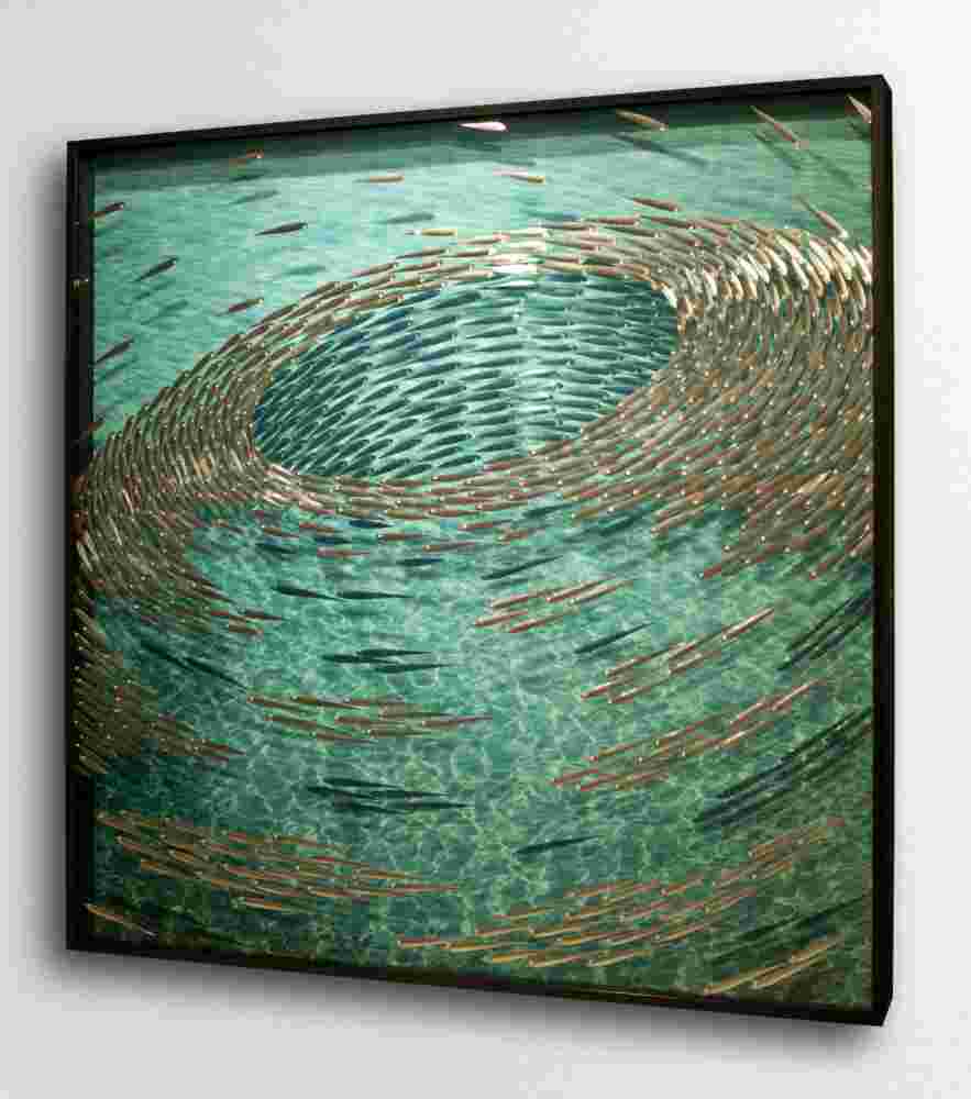 Three-dimensional wall sculpture, school of fish theme, with layers of plexiglass, aluminum frame and a swirl of aluminum fish.