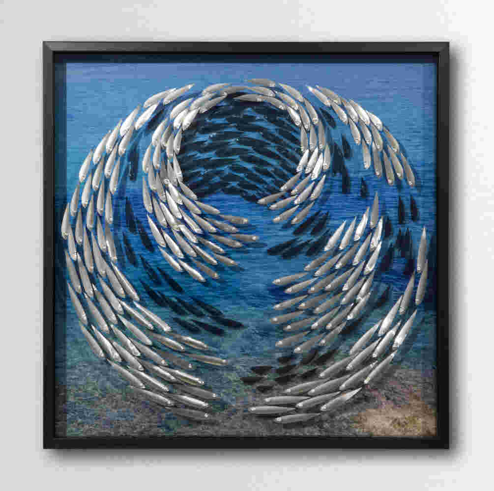 Three-dimensional wall sculpture, school of fish theme, with layers of plexiglass, aluminum frame and spherical aluminum fish.