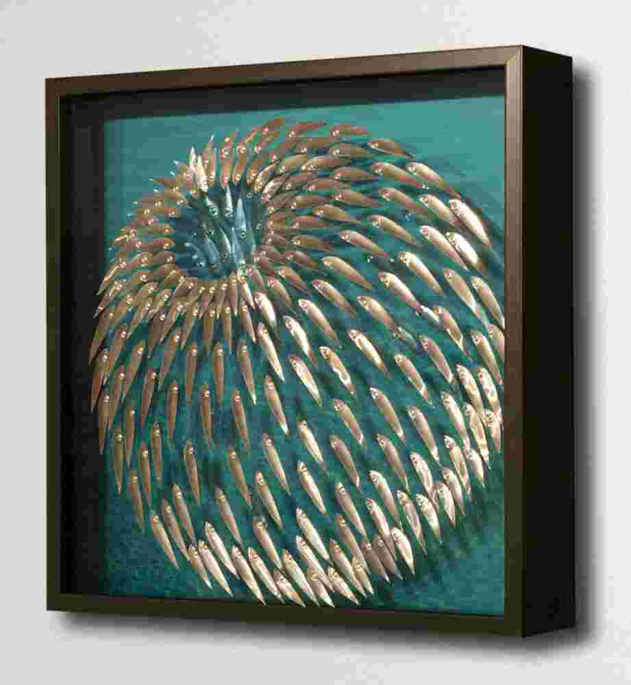 Three-dimensional wall sculpture, school of fish theme, with layers of plexiglass, aluminum frame and spherical aluminum fish.