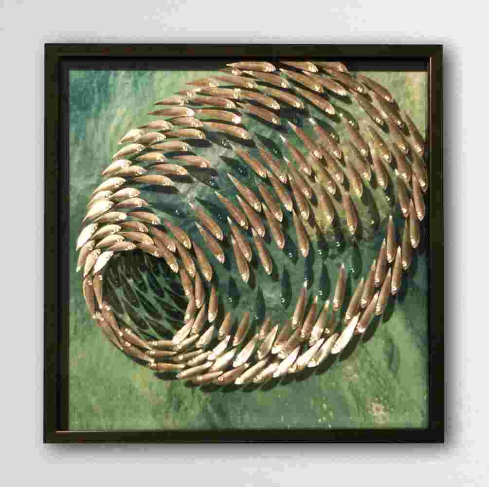 Three-dimensional wall sculpture, school of fish theme, with layers of plexiglass, aluminum frame and spherical aluminum and copper fish.