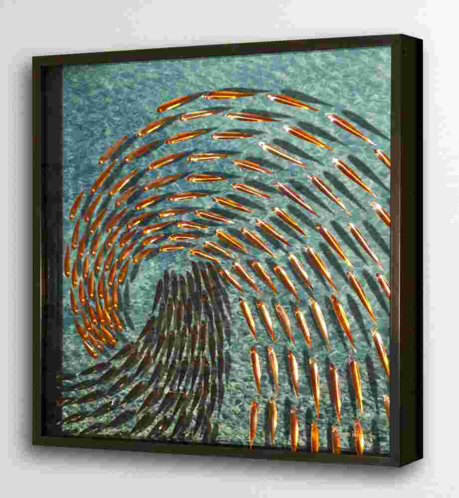Three-dimensional wall sculpture, school of fish theme, with layers of plexiglass, aluminum frame and a wave of copper fish.