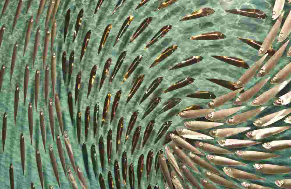 Three-dimensional wall sculpture, school of fish theme, with layers of plexiglass, aluminum frame and swirling aluminum fish.