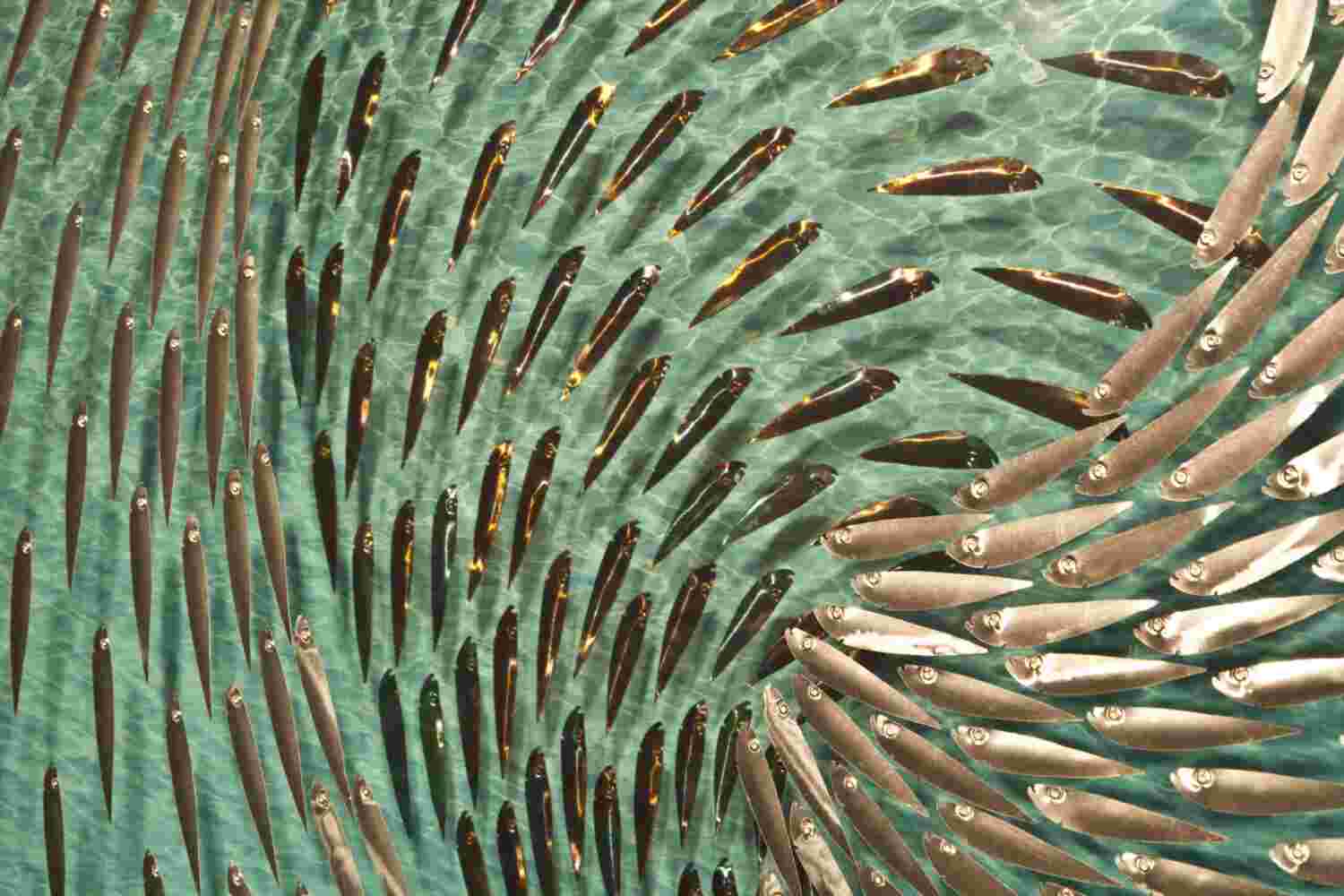 Three-dimensional wall sculpture, school of fish theme, with layers of plexiglass, aluminum frame and swirling aluminum fish.