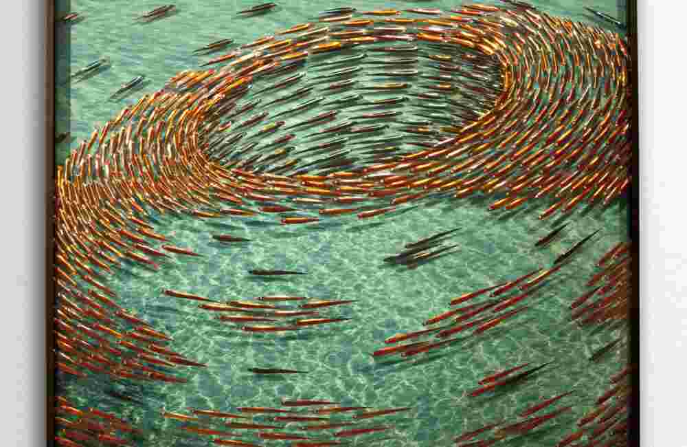 Acqua Layers of plexiglass compose an underwater seascape artwork