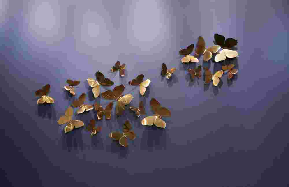 Butterflies coloured 20