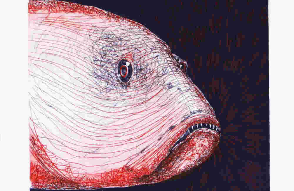 Red fish head etching, ink on paper