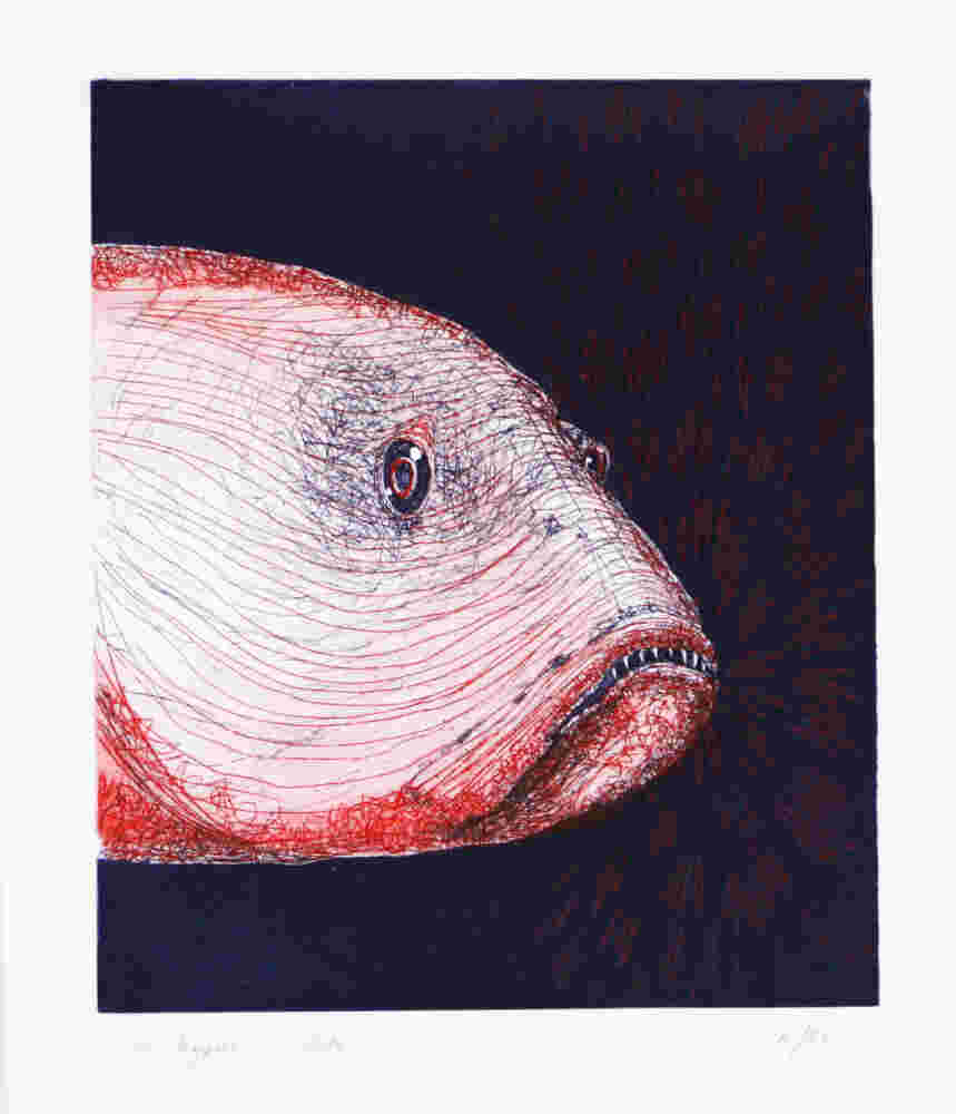 Red fish head etching, ink on paper