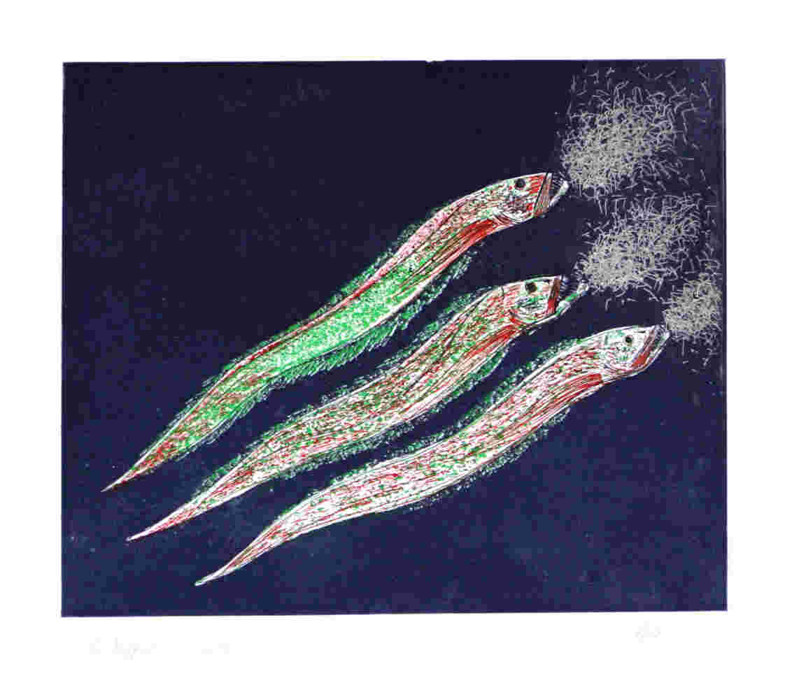 EEls on dark blue background etching, ink on paper