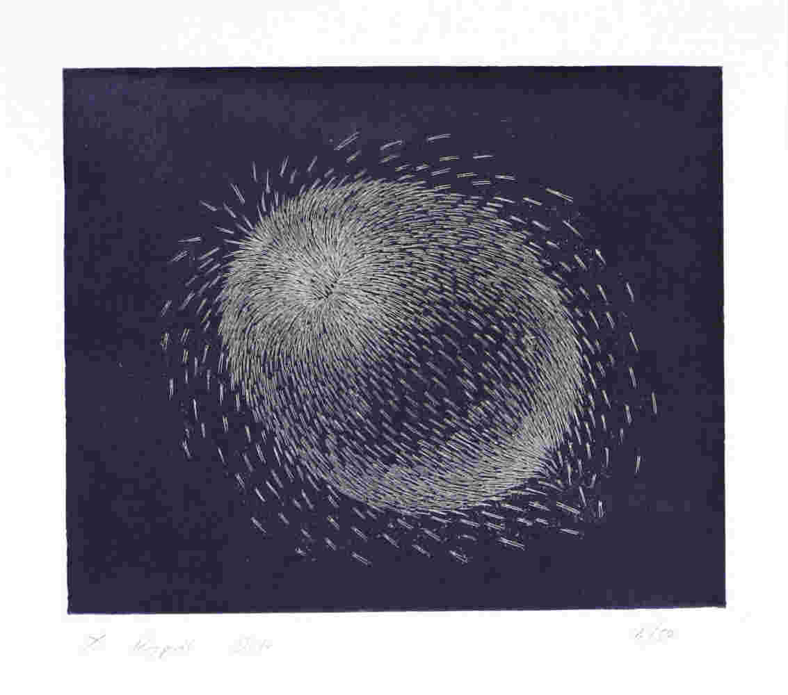 Shoal of fish on dark blue background etching, ink on paper