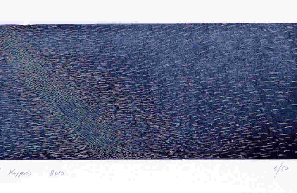 Shoal of fish on dark blue background etching, ink on paper