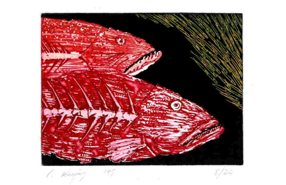 Two red fish head ion black background etching, ink on paper
