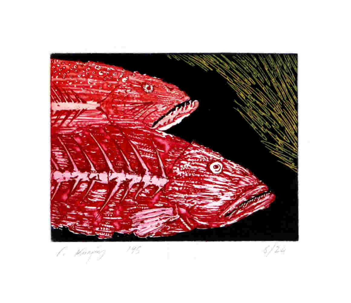 Two red fish head ion black background etching, ink on paper
