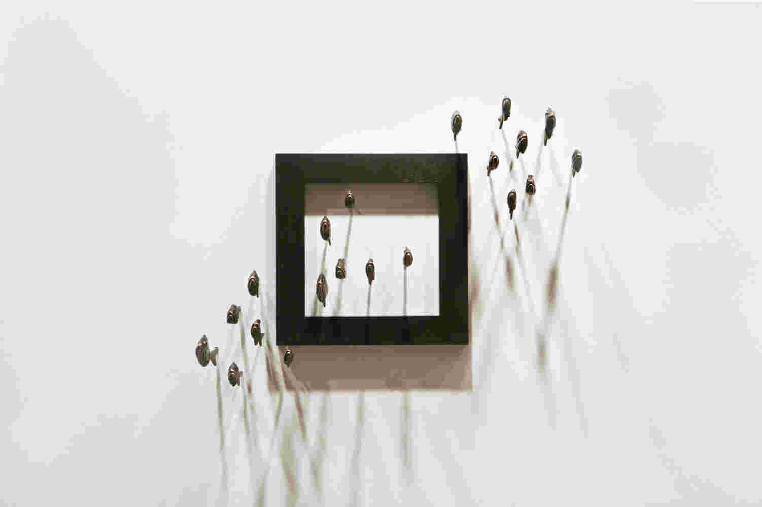 Wall installation of an explosion of fish made of cast bronze and a wooden frame.