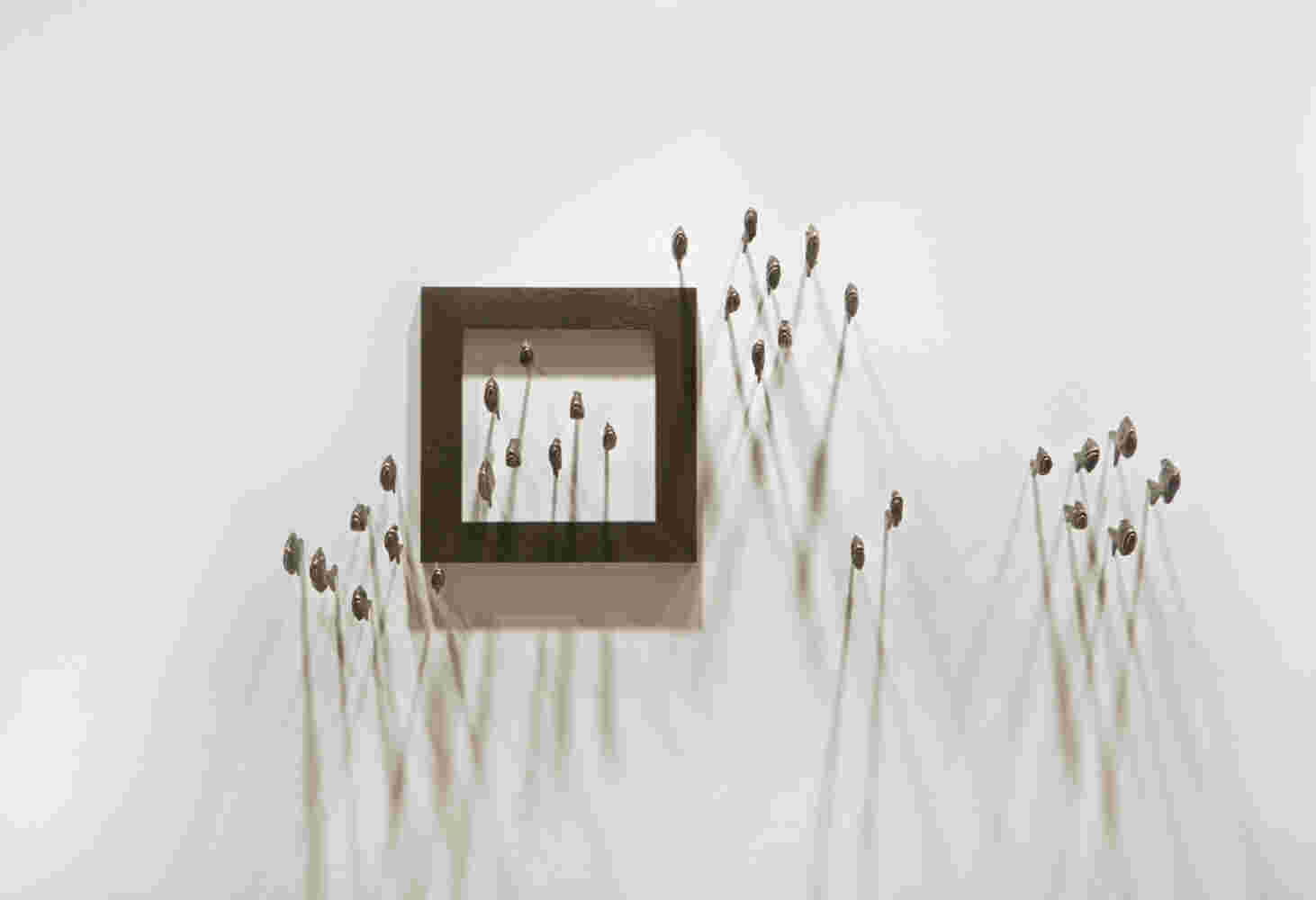 Wall installation of an explosion of fish made of cast bronze and a wooden frame.