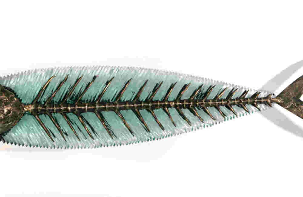 Hand cut glass and bronze large wall sculpture of a fish.