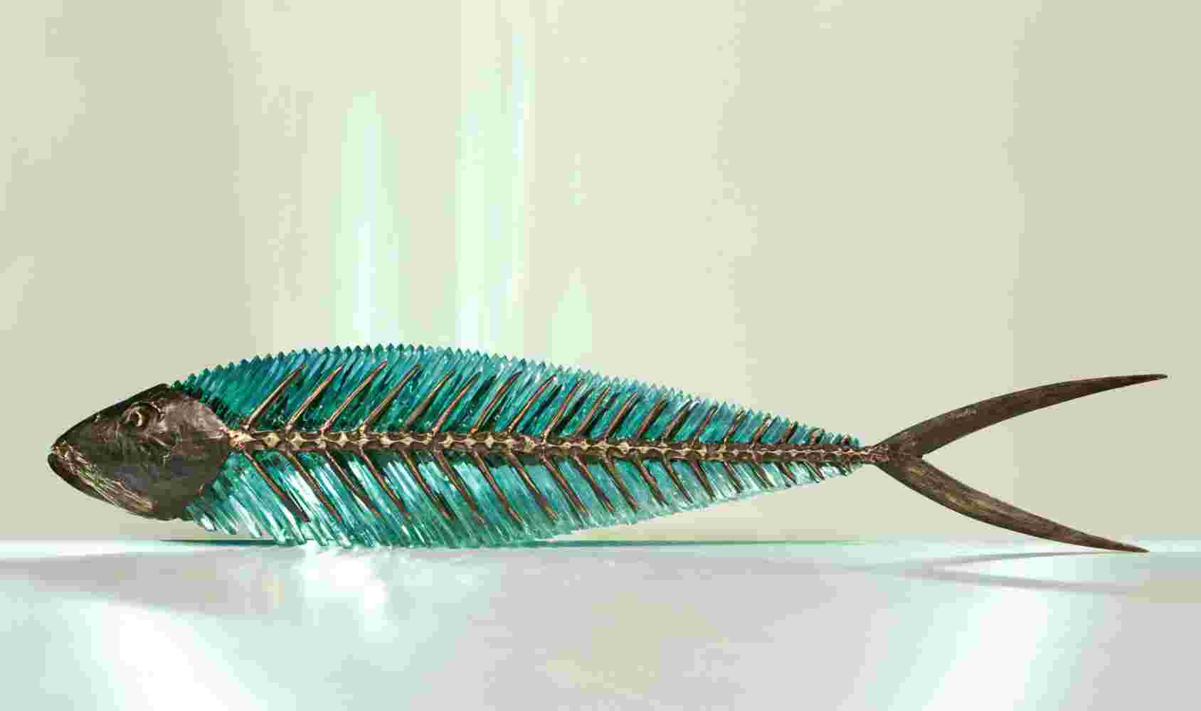 Hand cut glass and bronze sculpture of a fish.