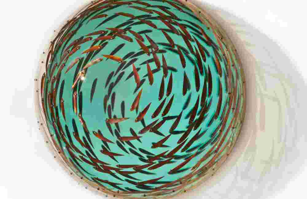 Swirling acrylic hemisphere with copper fish
