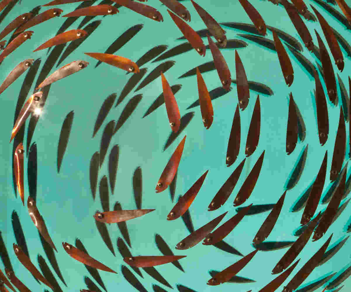 Swirling acrylic hemisphere with copper fish