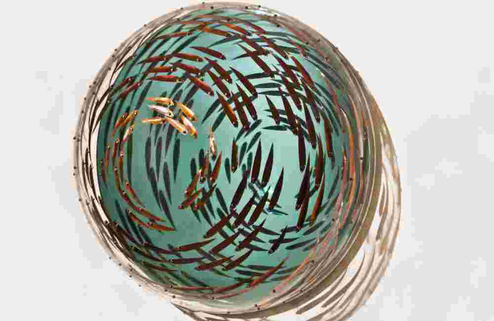 Circular Movement Flowing seascape hemisphere - Dubai, UAE