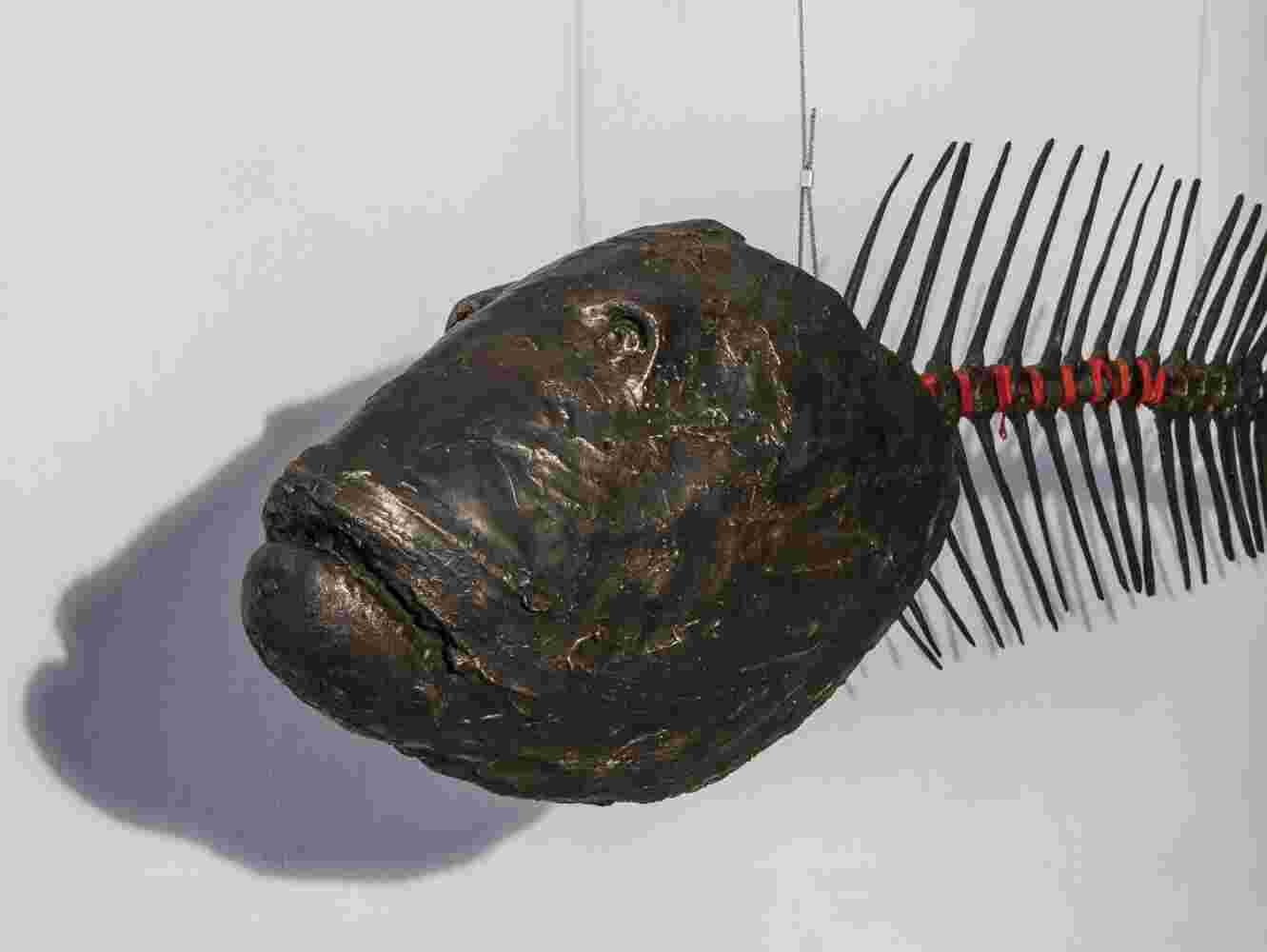 Hanging large scale sculpture of a fish bone made of cast bronze and red string.