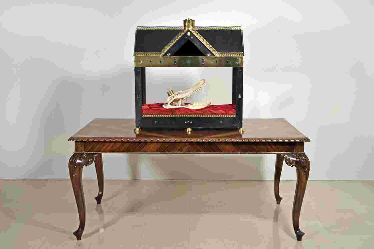 Mixed media installation of a crocodile head inside a glass casket on top of a table
