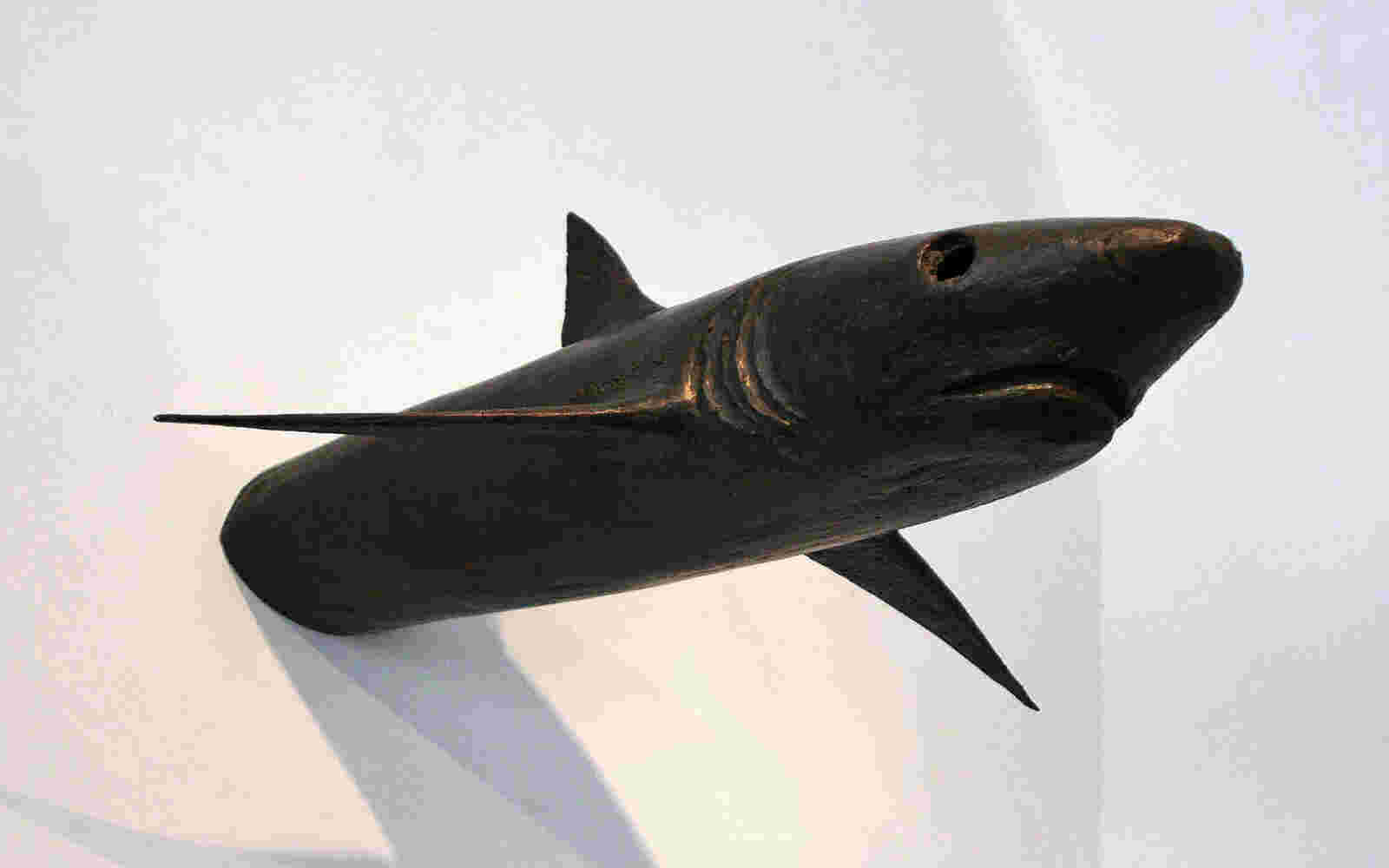 Shark wall sculpture made of cast bronze