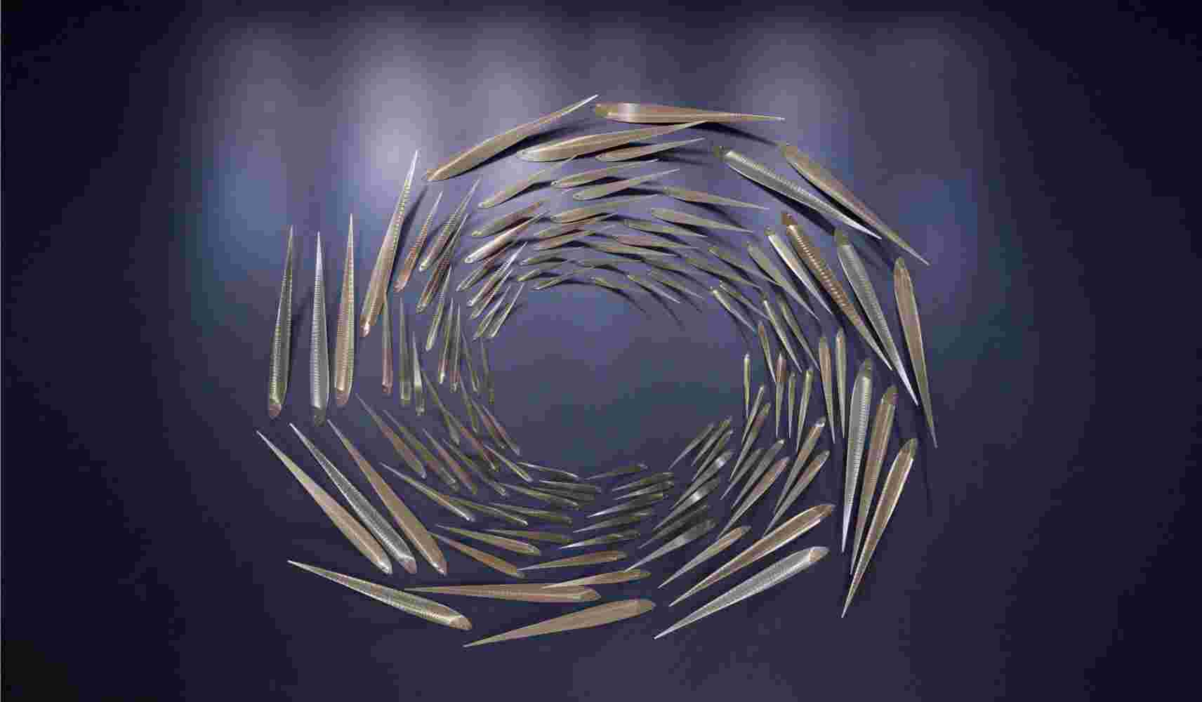 Wall installation of a vortex stainless steel school of fish