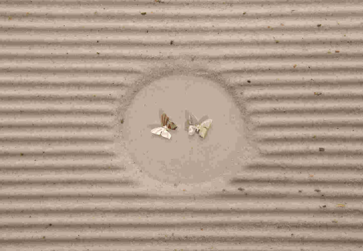 Silver butterfly earrings (LRG)