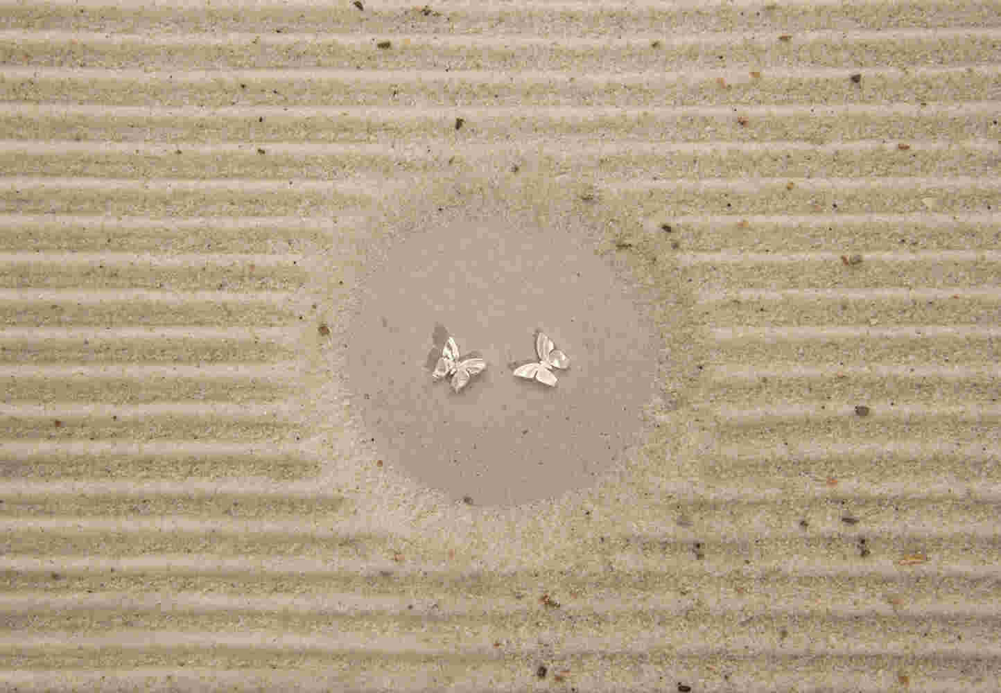 Silver butterfly earrings (SML)