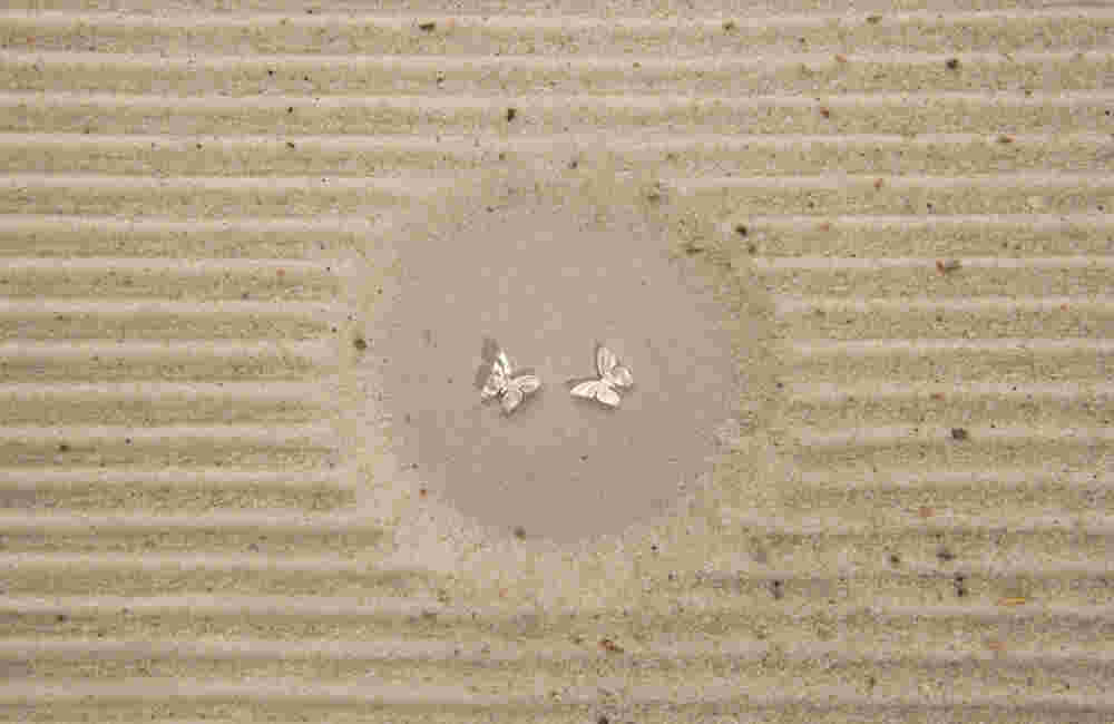 BTFLY EARRINGS SMALL SILVER