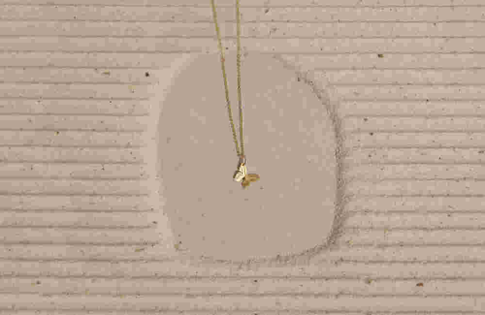 BTFLY SMALL2