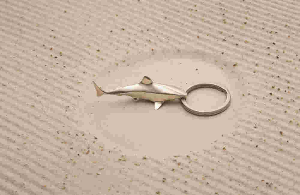 KEYRING BIG NEW2