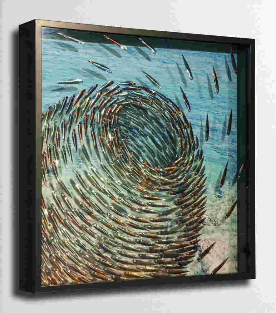 Three-dimensional wall sculpture, school of fish theme, with layers of plexiglass, aluminum frame and swirling copper fish.