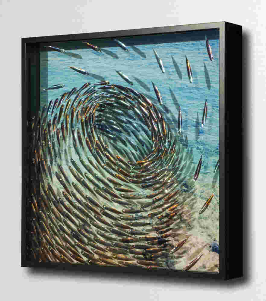 Three-dimensional wall sculpture, school of fish theme, with layers of plexiglass, aluminum frame and swirling copper fish.