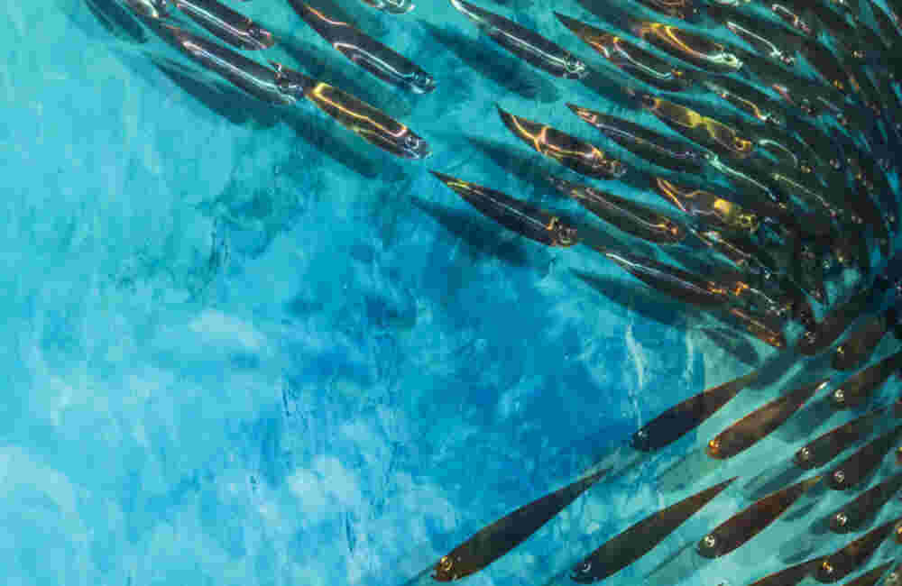 A 137 Three-dimensional wall sculpture, school of fish theme, with layers of plexiglass, aluminum frame and swirling copper fish.