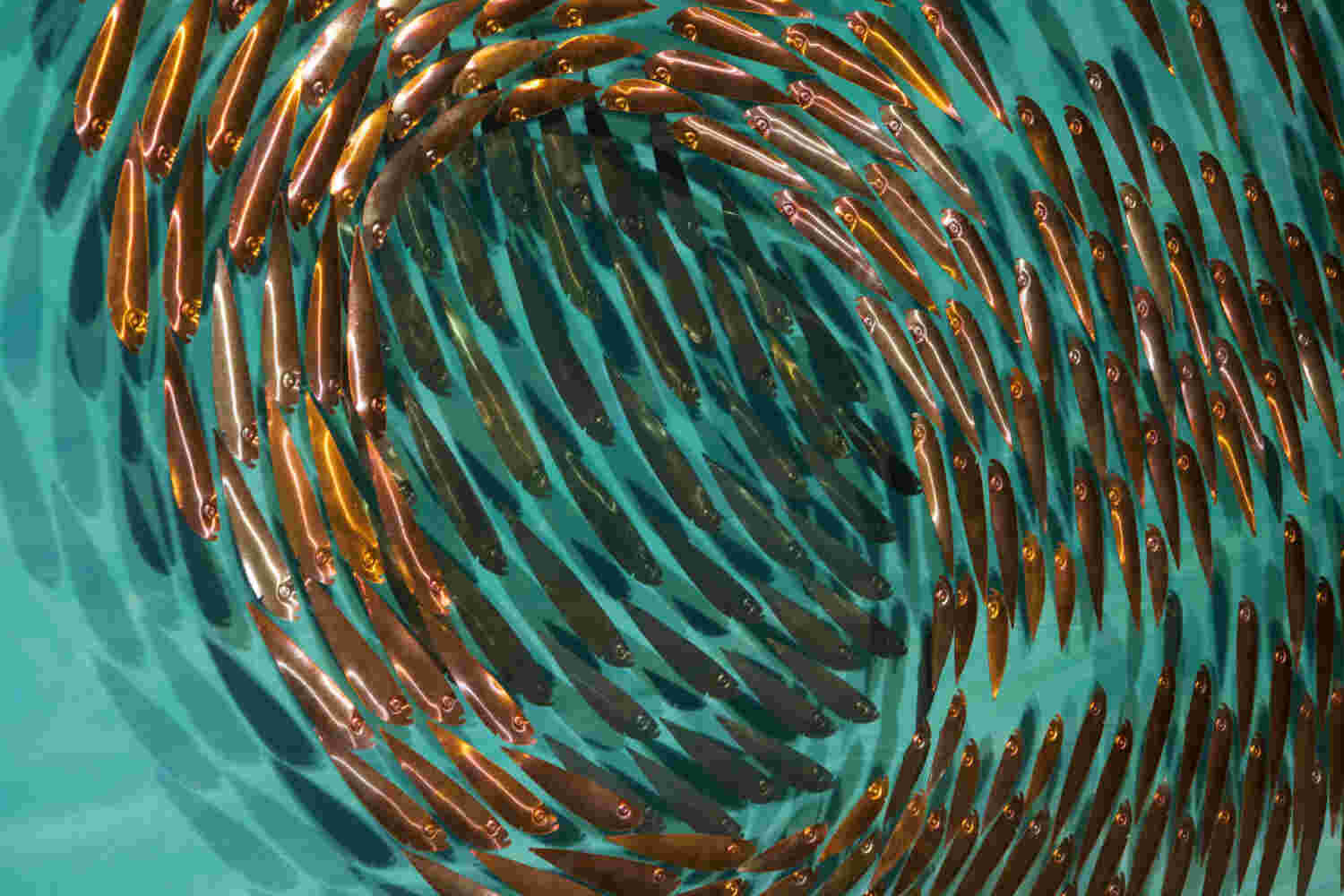 Three-dimensional wall sculpture, school of fish theme, with layers of plexiglass, aluminum frame and swirling copper fish.