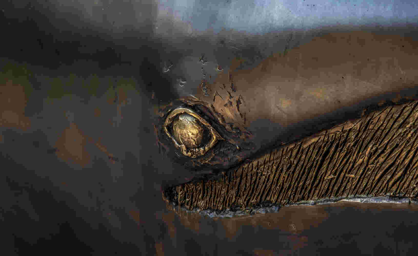 Surrealistic bronze black patina sculpture, half whale, half submarine