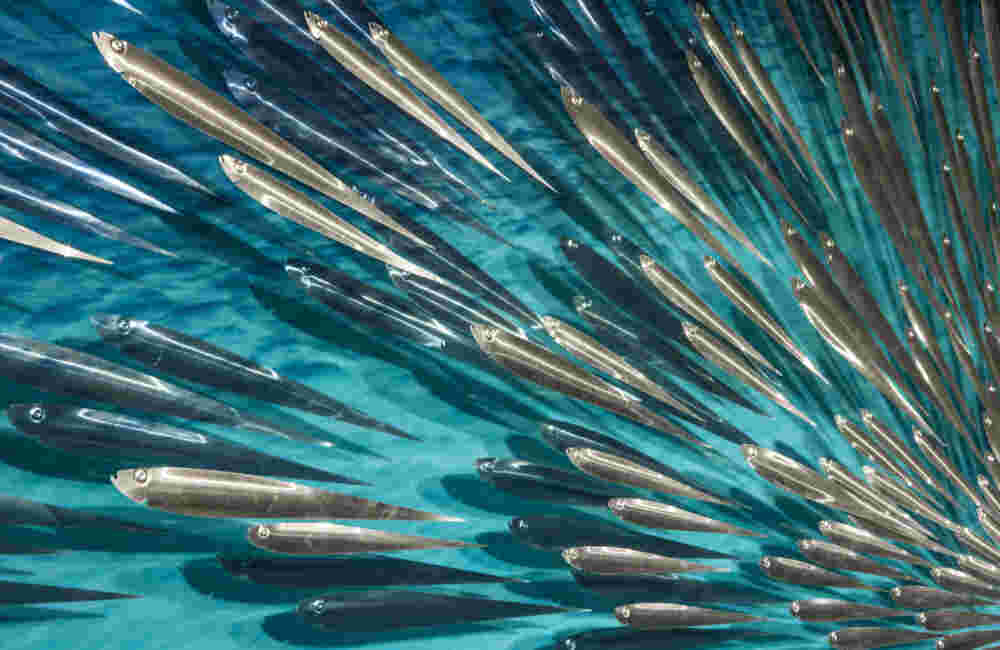 Three-dimensional wall sculpture, school of fish theme, with layers of plexiglass, aluminum frame and swirling copper fish.