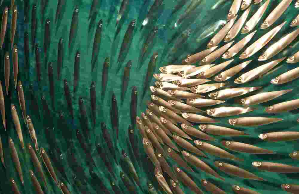 Three-dimensional wall sculpture, school of fish theme, with layers of plexiglass, aluminum frame and swirling copper fish.