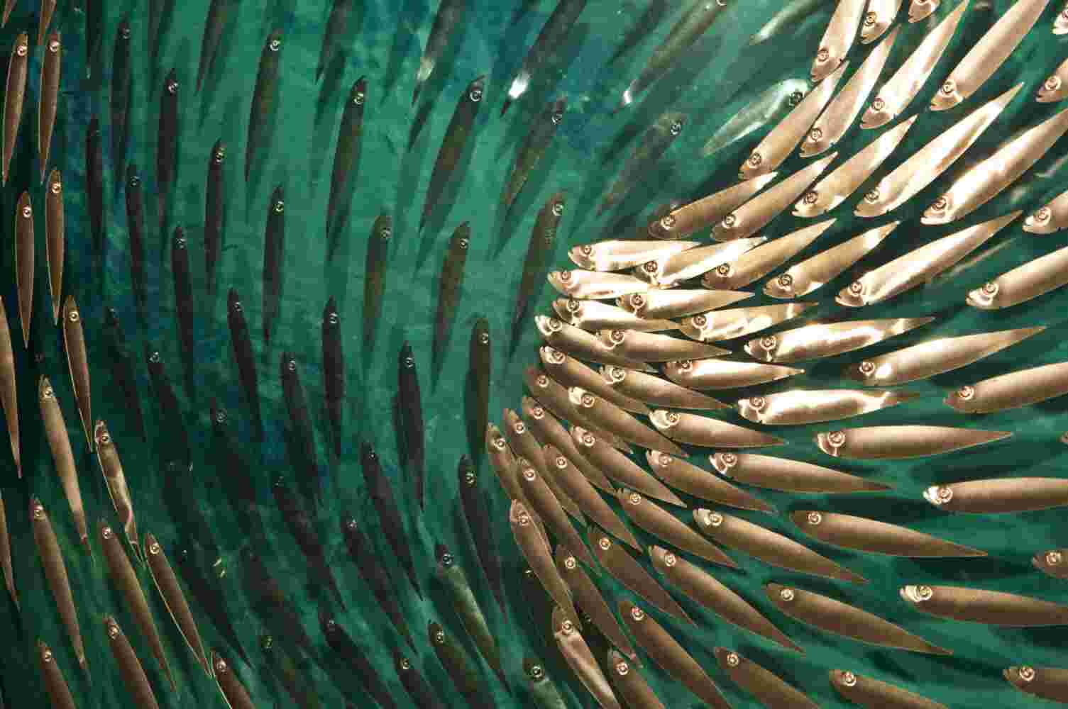 Three-dimensional wall sculpture, school of fish theme, with layers of plexiglass, aluminum frame and swirling copper fish.