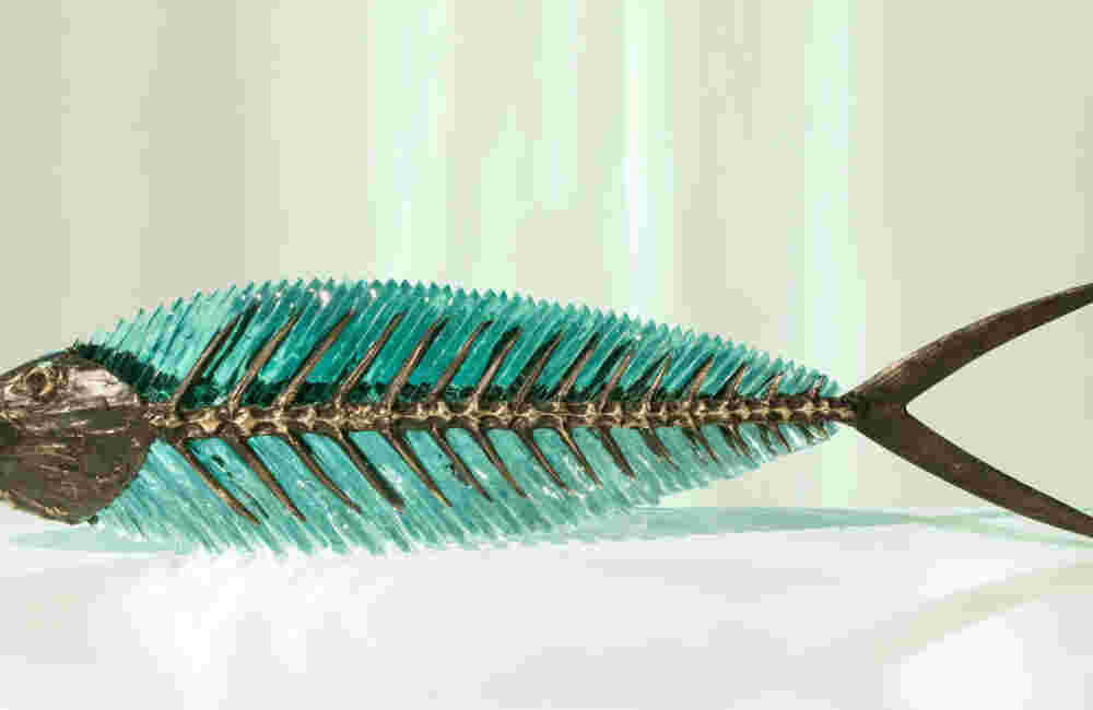 Cast bronze & glass sculpture of a fish. “Frozen Fish”.