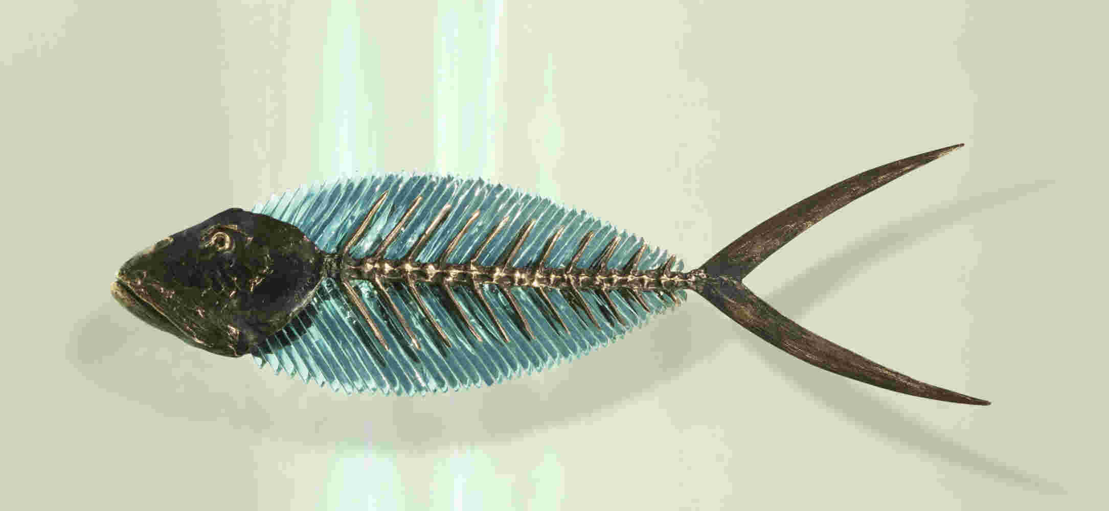 Hand cut glass and bronze sculpture of a fish, wall mounted or hanging