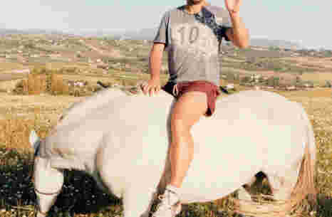 horseback