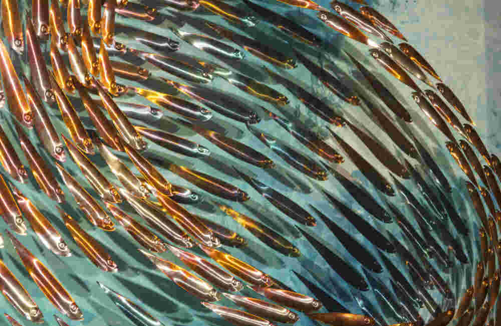 Three-dimensional wall sculpture, school of fish theme, with layers of plexiglass, aluminum frame and swirling copper fish.